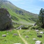 der schöne Wanderweg durchquert das ganze Val Sesvenna