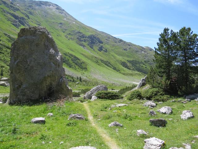 der schöne Wanderweg durchquert das ganze Val Sesvenna