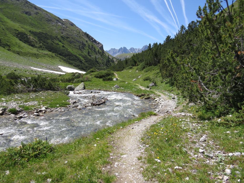 auf der orographisch rechten Seite der Aua Sesvenna wandern wir weiter talauswärts