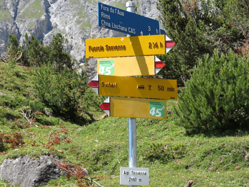 wir verlieren ein wenig an Höhe und erreichen die Weggabelung auf der Alp Sesvenna 2110 m.ü.M.