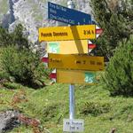 wir verlieren ein wenig an Höhe und erreichen die Weggabelung auf der Alp Sesvenna 2110 m.ü.M.