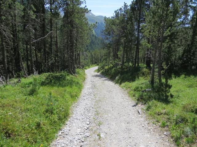 ...über eine breite Alpstrasse in südlicher Richtung talauswärts