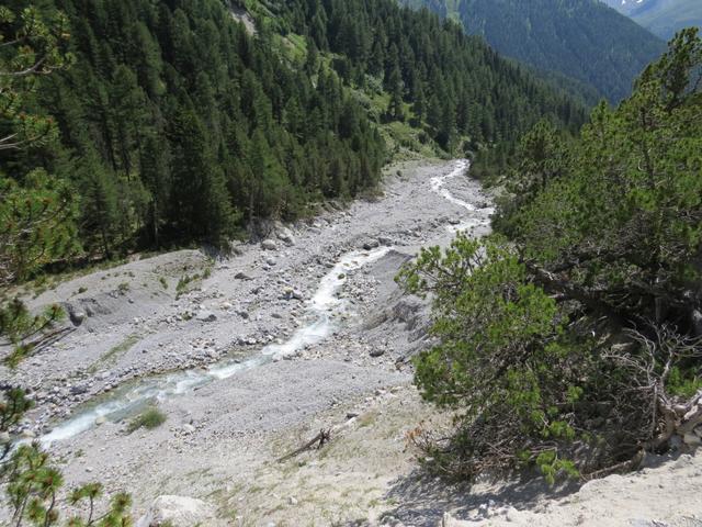 die Aua Sesvenna wird immer grösser, und bei Hochwasser führt sie viel Geschiebe ins Tal hinunter