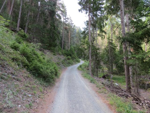 ...und wandern auf der Forststrasse taleinwärts