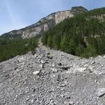 die Alpstrasse quert steile Runsen. Im Frühling rauscht hier Schmelzwasser in tosenden Bächen zu Tal