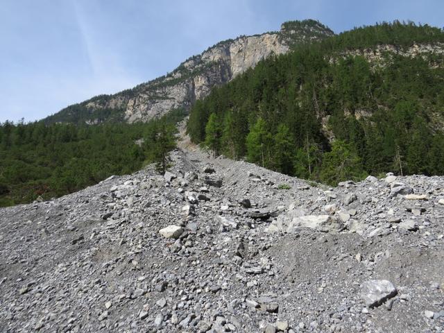 die Alpstrasse quert steile Runsen. Im Frühling rauscht hier Schmelzwasser in tosenden Bächen zu Tal