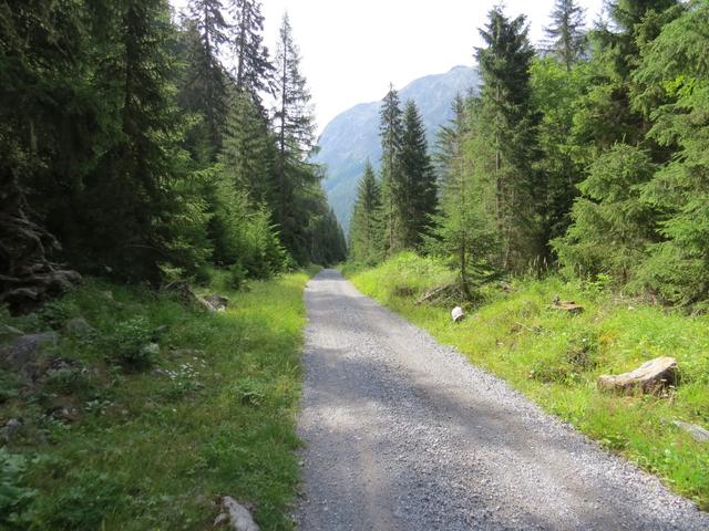 kurz vor Punkt 1749 m.ü.M. überqueren wir zum letzten Mal den Bergbach...