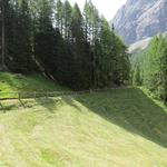 das schöne Forststrässchen endet kurz hinter der Alp 1787 m.ü.M...