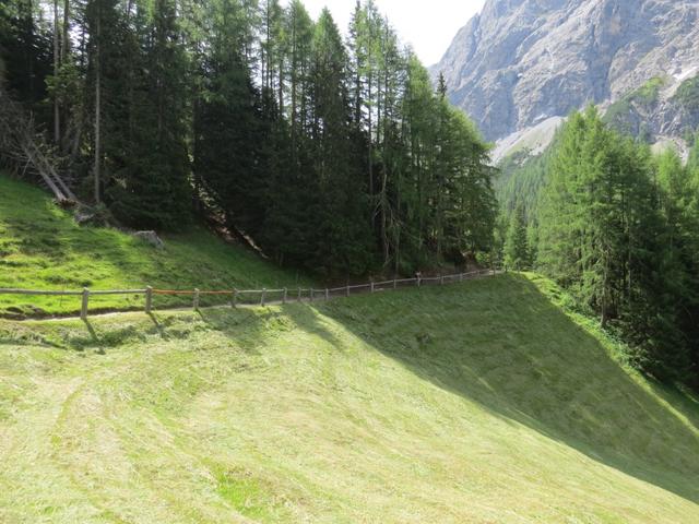 das schöne Forststrässchen endet kurz hinter der Alp 1787 m.ü.M...