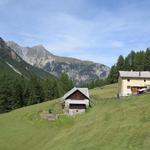 wir lassen die Alp Uina Dadaint mit dem Bauernhof das malerisch zwischen Lärchen und Tannen liegt, hinter uns