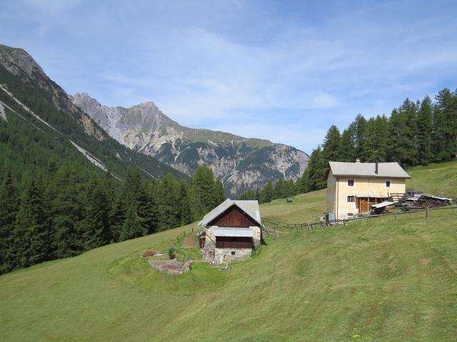 wir lassen die Alp Uina Dadaint mit dem Bauernhof das malerisch zwischen Lärchen und Tannen liegt, hinter uns