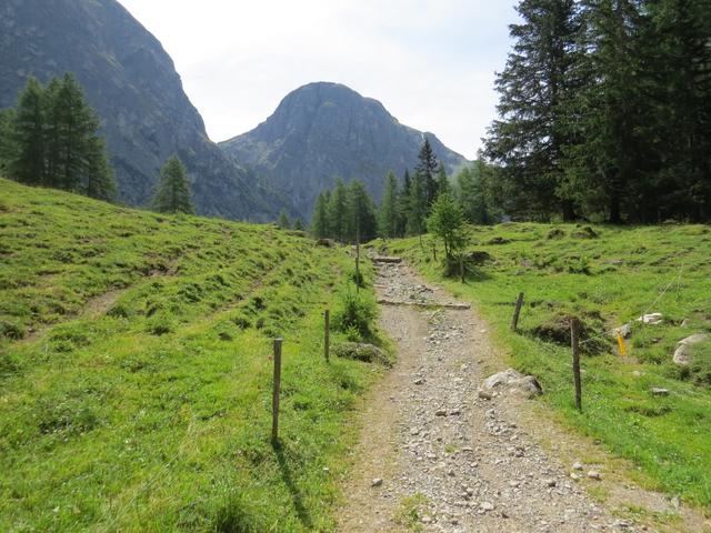 ...und verwandelt sich dort in einen gut markierten Weg