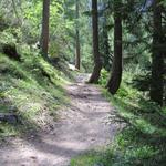 der Wanderweg steigt zwischen Bäumen weiter an, und leitet uns zum Beginn der Schlucht