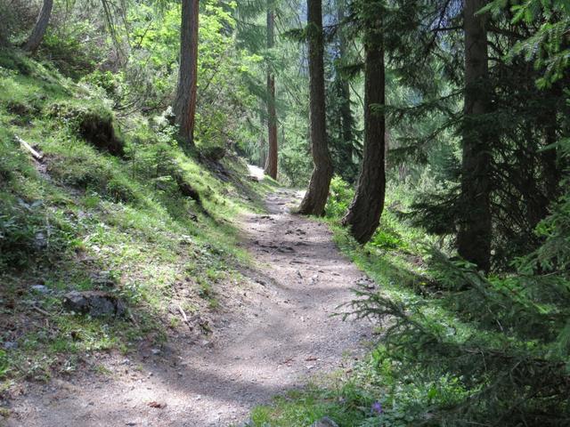 der Wanderweg steigt zwischen Bäumen weiter an, und leitet uns zum Beginn der Schlucht