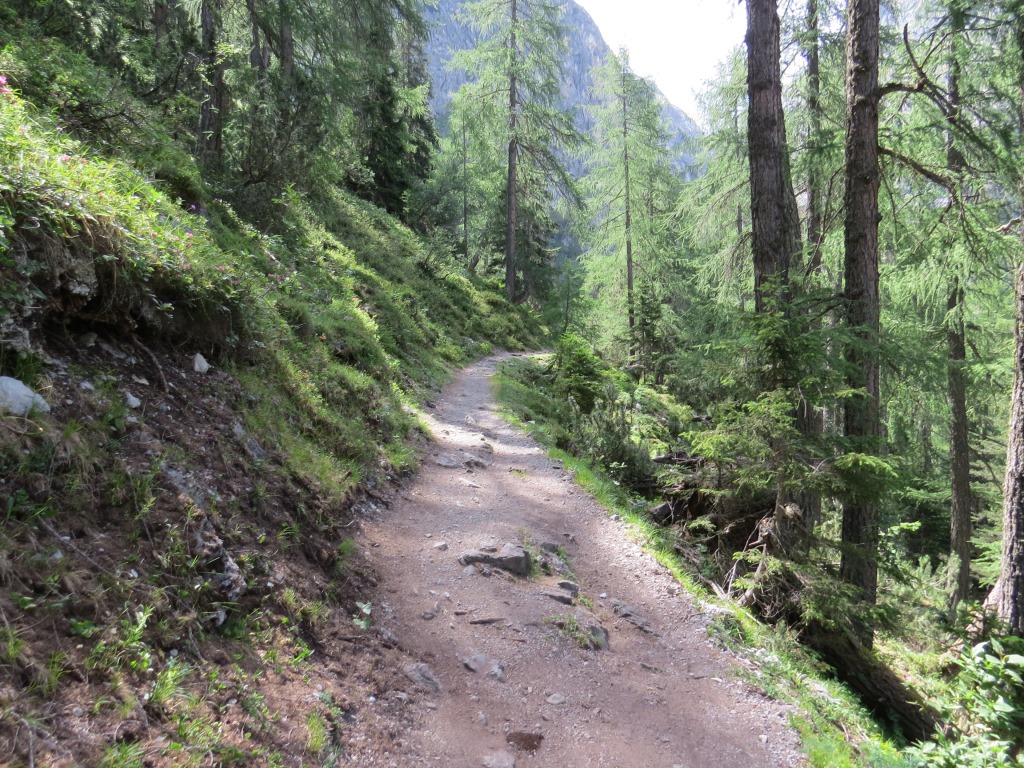 die letzten Schritte über den einfachen Wanderweg kurz vor der Schlucht