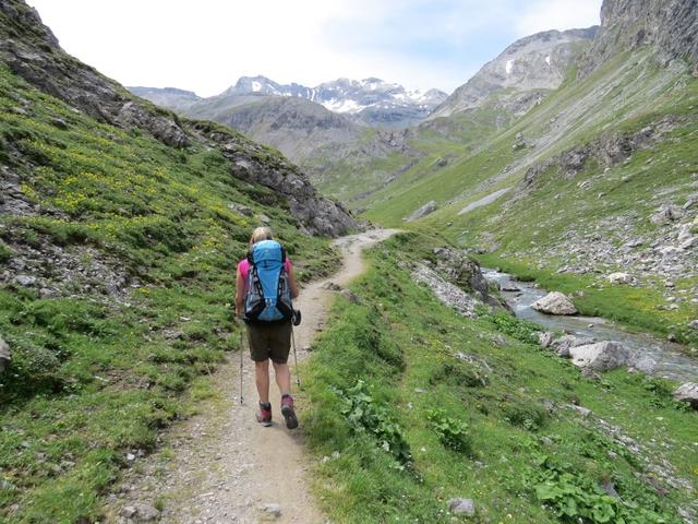 unvermutet ändert sich die Landschaft, den rauen Felsen folgen die saftigen Bergwiesen der Alp Sursass 2152 m.ü.M...