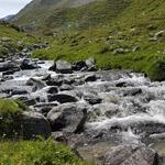 auf der Alp Sursass direkt am Bach das in die Quar Schlucht fliesst...