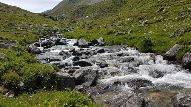 auf der Alp Sursass direkt am Bach das in die Quar Schlucht fliesst...