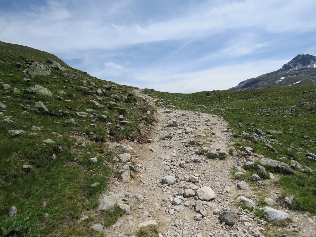 über die Alp Sursass wandern wir nach der Mittagspause,...