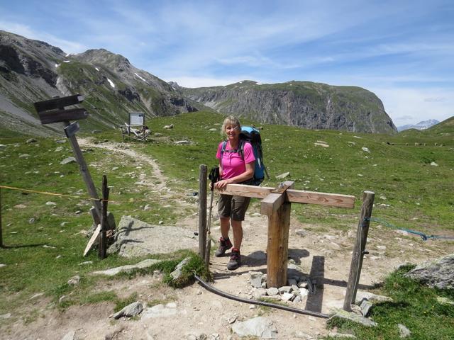 meine Maus beim Passo di Slingia (Schlinigpass) 2297 m.ü.M.