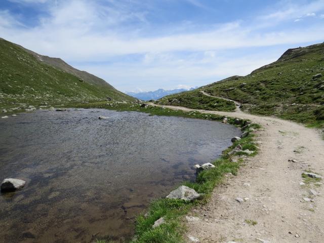 an diversen kleinen Bergseen vorbei, wandern wir nun auf Südtiroler Seite zur Sesvenna Hütte