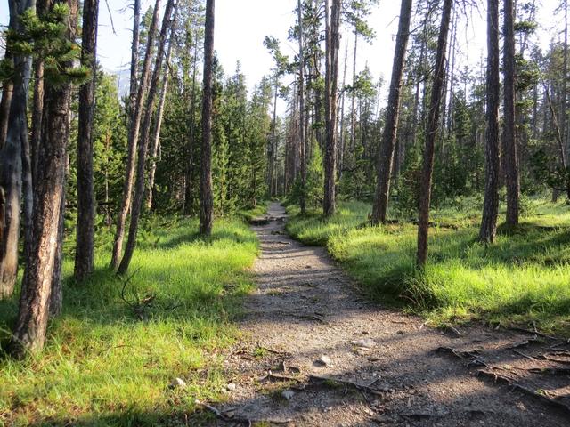Vom Parkplatz 7 wandern wir durch den dichten,...
