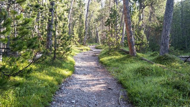 ...geht es zum Eingang des Val dal Botsch