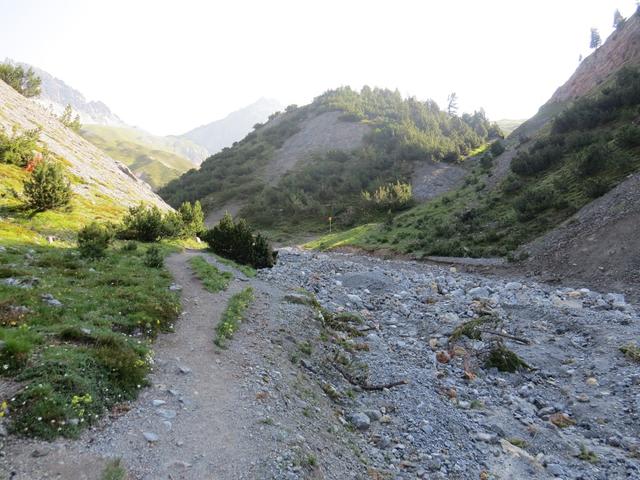 bei Grass dal Val dal Botsch