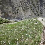 der Wanderweg biegt nun wieder zum Bergbach hinunter