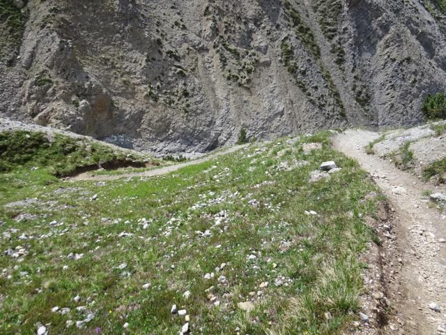 der Wanderweg biegt nun wieder zum Bergbach hinunter
