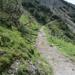 ...wandern wir zur Wegverzweigung 2169 m.ü.M.