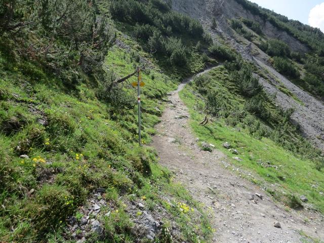 ...wandern wir zur Wegverzweigung 2169 m.ü.M.