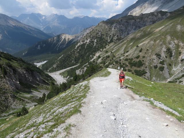 ...aber steile Bergweg in die Höhe