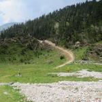 der komplett neu erstellte Wanderweg zieht von der kleinen Ebene rechts...