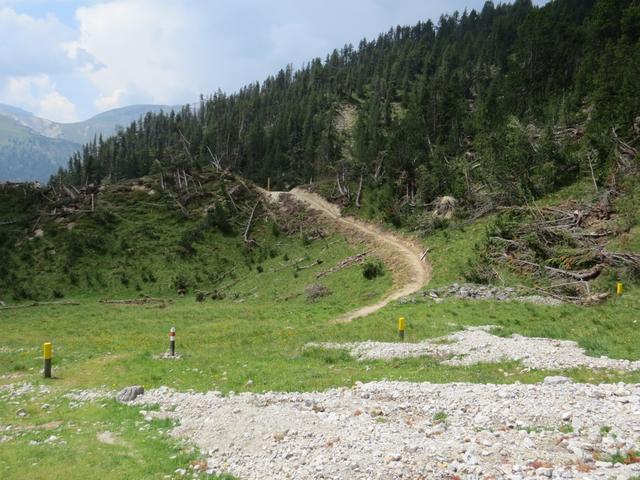 der komplett neu erstellte Wanderweg zieht von der kleinen Ebene rechts...