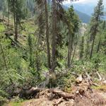 der alte Wanderweg der durch die Schlucht führte ist nicht mehr zugänglich