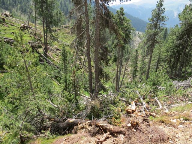 der alte Wanderweg der durch die Schlucht führte ist nicht mehr zugänglich