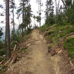 der neu erstellte Wanderweg ist perfekt erstellt und nicht mehr gefährlich