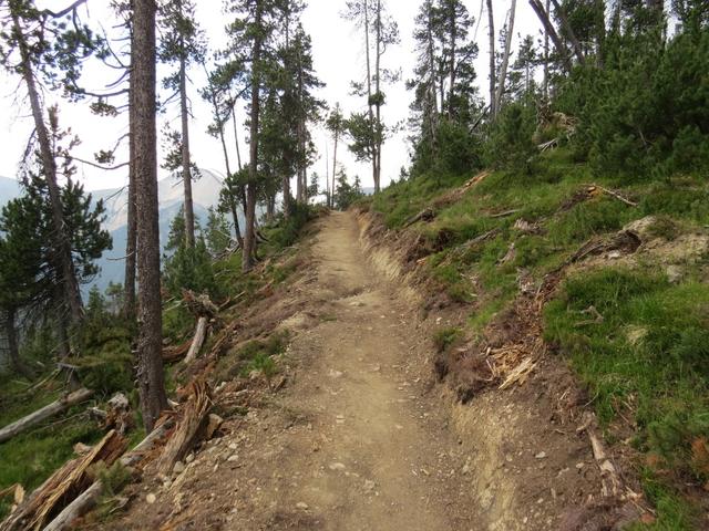 der neu erstellte Wanderweg ist perfekt erstellt und nicht mehr gefährlich