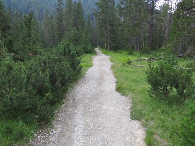 wir erreichen die Ofenpassstrasse mit dem Parkplatz Nr.8. 1885 m.ü.M.