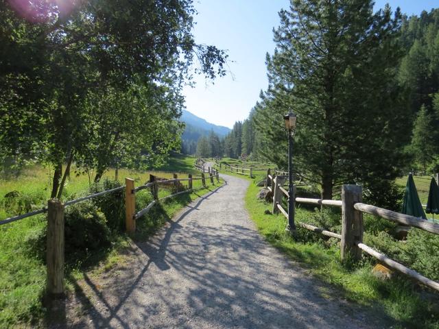 ...und laufen über eine breite Alpstrasse Richtung Ofenpass