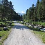 wir bleiben auf der Kiesstrasse und wandern geradeaus weiter