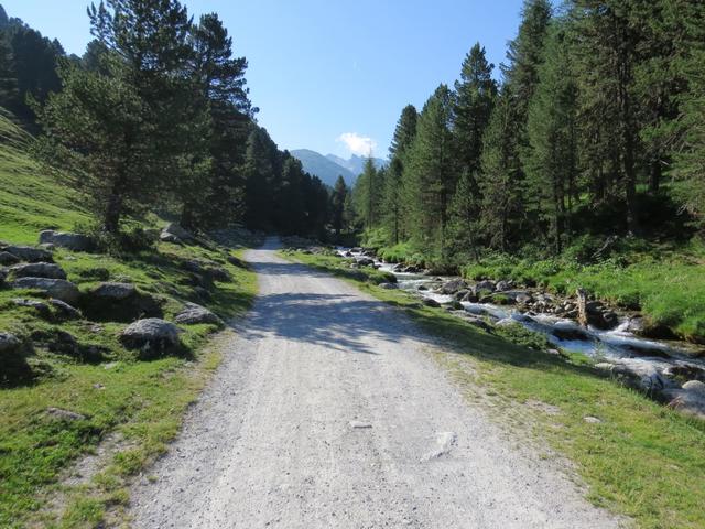 wir bleiben auf der Kiesstrasse und wandern geradeaus weiter