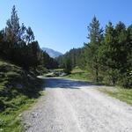 die Strasse führt uns taleinwärts in das Val S-charl