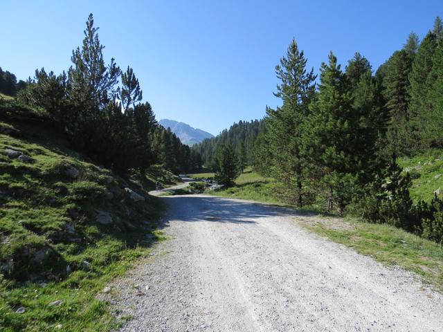 die Strasse führt uns taleinwärts in das Val S-charl