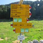 ...und die Weggabelung. Unser nächstes Ziel lautet nun Alp Astras