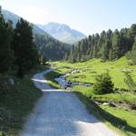 wir wandern weiter geradeaus, überqueren die Wiesen von Motta da Praditschöl...