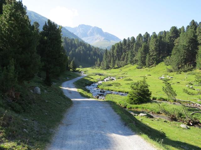 wir wandern weiter geradeaus, überqueren die Wiesen von Motta da Praditschöl...