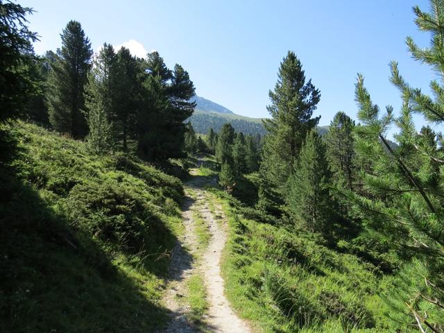 ... und wandern nun leicht aufsteigend nach Tamangur Dadora