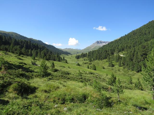 durch eine wunderschöne Gegend, wandern wir Richtung Tamangur Dadora